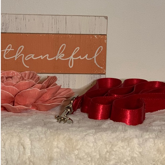 Other - NWOT Red 6 Foot Leash - Bundle Me!